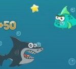 Mad Shark: Dive Into an Action-Packed Ocean Adventure